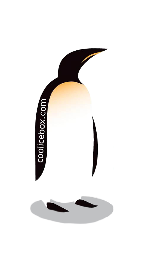 Cool Boxes Calibration Service-0