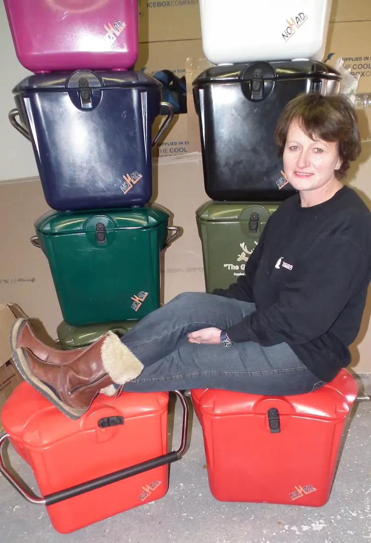 History of the Cool Ice Box Company