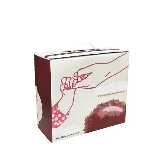 Cord blood transport collection kit bag - Image 3