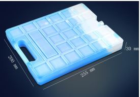 1100G Large Rigid Gel Pack